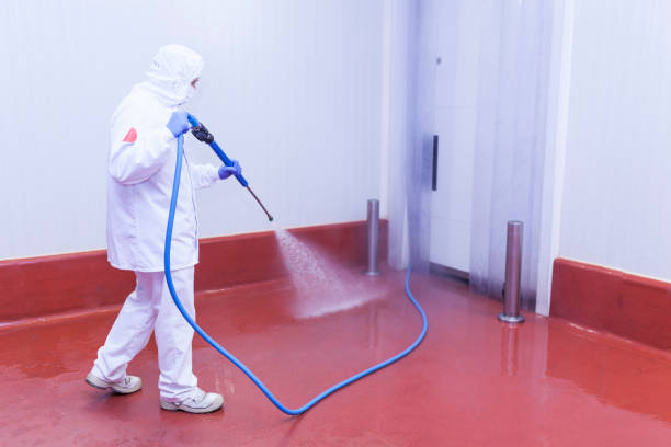 Best Roof Washing  in Salisbury, NY